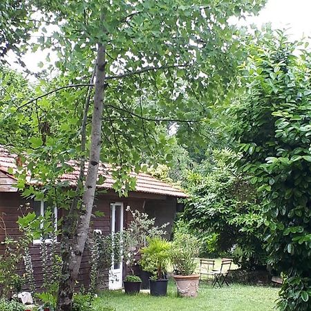Saint-Laurent-de-Medoc L'Escale Cote Jardin 빌라 외부 사진